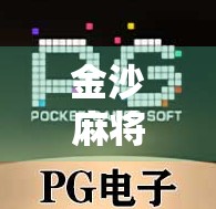 金沙麻将胡了技巧全解析，从新手到高手的进阶之路
