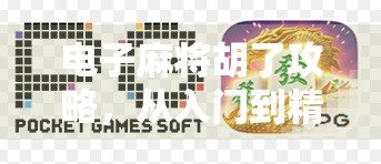 电子麻将胡了攻略，从入门到精通，轻松上手赢在起跑线！